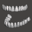 Model-K.png Aesthetic Tooth Libraries
