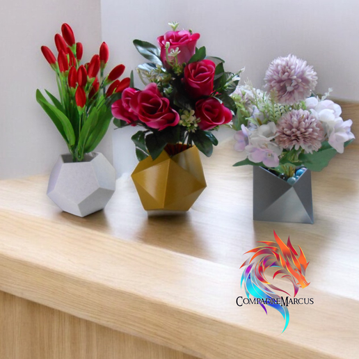 11.png Dado Polyhedron Planters - set of 3