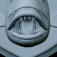 Dentex-head-trophy-45.png fish head trophy Common dentex / dentex dentex open mouth statue detailed texture for 3d printing