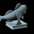 zander-trophy-40.png zander / pikeperch / Sander lucioperca fish in motion trophy statue detailed texture for 3d printing
