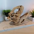 IMG_20210619_151835.jpg Majungasaurus skull 3D Print - dinosaur
