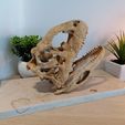 IMG_20210619_151835.jpg Majungasaurus Schädel 3D-Druck - Dinosaurier