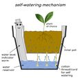 selbstwaesserndes-Schema.jpg Self-Watering Plant Pot with a Gentleman Earthworm Companion