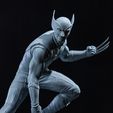 IMG_2328.jpg Wolverine Hugh Jackman