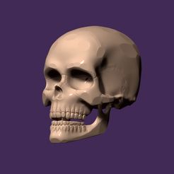 01.jpg Archivo STL cráneo humano・Modelo de impresora 3D para descargar