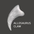 allosaurus-claw.jpg Allosaurus Claw - Dinosaur