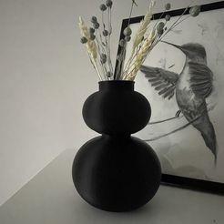 IMG_5423.jpeg Modern Vase