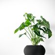 misprint-5.jpg The Melfi Planter Pot with Drainage | Tray & Stand Included | Modern and Unique Home Decor for Plants and Succulents  | STL File
