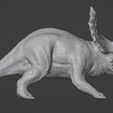 3.jpg Triceratops