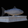 Salmon-statue-12.png Atlantic salmon / salmo salar / losos obecný fish statue detailed texture for 3d printing
