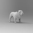 Dog_01.14.jpg Free OBJ file bull dog・3D printer design to download