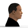 untitled.1367.jpg Dr Dre bust ready for full color 3D printing