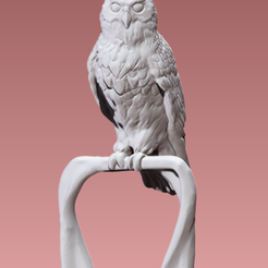 2023-03-06-3.png Файл STL Owl・Шаблон для загрузки и 3D-печати