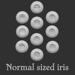 eyes-V01-Normal-sized-iris-01.jpg 3D-Datei 16mm normal großes Auge mit Iris・Modell für 3D-Drucker zum Herunterladen
