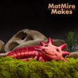 MatMire Adorable Articulated Axolotl, Print-In-Place Body, Snap-Fit Head, Cute Flexi