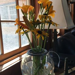 IMG_2190.JPG Flower Vase Insert