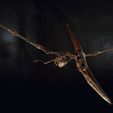 DSC_0041_02Cults.jpg STL file Pteranodon skeleton・3D printer model to download