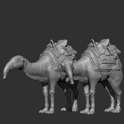 front.jpg 3D file Star Wars Eopie・3D printable model to download