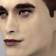 edward-cullen-twilight-pattinson-bust-full-color-3d-printing-3d-model-obj-mtl-stl-wrl-wrz (11).jpg Edward Cullen Twilight Pattinson bust full color 3D printing