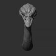 10.jpg Ostrich head