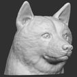 13.jpg Doge meme Shiba Inu head for 3D printing
