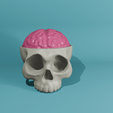skull-coater-set7-edit.png Skull and Brain Coaster set