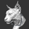 05.png Lynx head AM18 3D print model