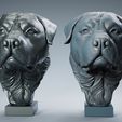 R-1.jpg Rottweiler Head Sculpture