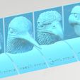 ocells dieta forma.jpg Birds and their feeding. 3D bird didactic. English language.
