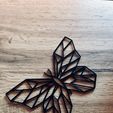 IMG_E3533.jpg Mariposa geométrica