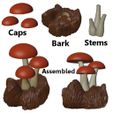 Shroom-Cluster-Pic3.jpg Mushroom Cluster - Charming Troop of Toadstools in Tree Bark STL Files