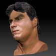 JoseCanseco2_0007_Layer 7.jpg Jose Canseco several 3d busts