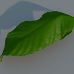 marmaladebox.jpg Leaf