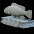 White-grouper-open-mouth-statue-52.png fish white grouper / Epinephelus aeneus open mouth statue detailed texture for 3d printing