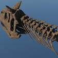 untitled3.png Череп карнотавра 30 см 3d печать 3d модель