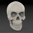 untitled.162.jpg Classic Skull