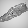 Sp-2.png Spinosaurus Head