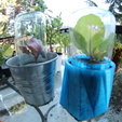 Invernadero Mini DIY6.png Greenhouse Mini DIY