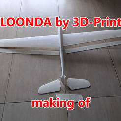 Floonda - planeador de estilo libre impreso en 3D de 1335 mm de envergadura (Vasemode)