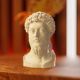 thrd.png Bust of Marcus Aurelius