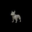 20.jpg French Bulldog model 3D print model