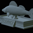Zander-statue-30.png fish zander / pikeperch / Sander lucioperca statue detailed texture for 3d printing