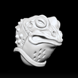 froghelm.png Helm Fibian furieux