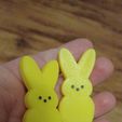 Snapchat-41544702.jpg Easter Peep Giant Bunny Cake Topper Easter basket gift Kids Peep /Personalized Bunny