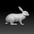 rab22.jpg rabbit 3d model- realistic rabbit - decorative rabbit