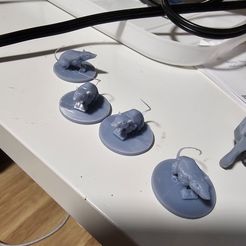 Rat remix without whiskers and added base