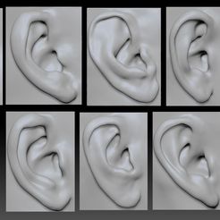 10-Femail-Ears.jpg Male & Femail Ear Bundle