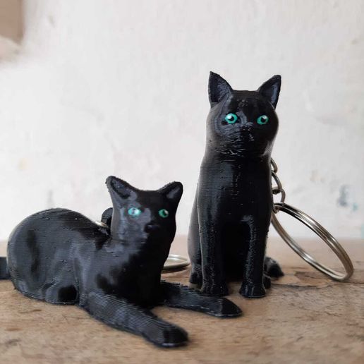 WhatsApp-Image-2023-01-26-at-19.47.39.jpeg (x2) Cat keychains