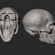Screenshot_11.png Male Skull