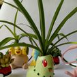 IMG-20240206-WA0070.jpg chicorita Pokémon planter